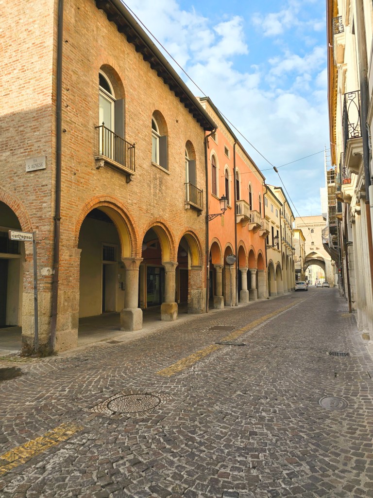 a row of buildings with porticos is portrayed in the historic downtown.